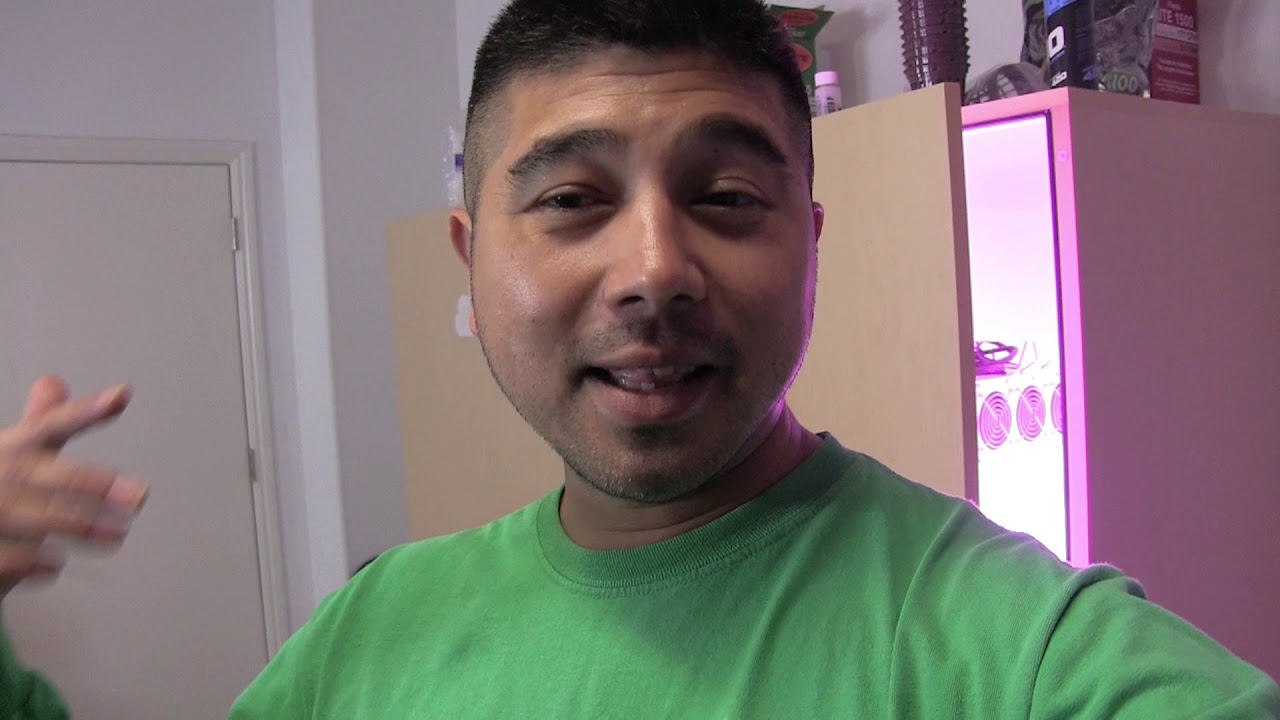 Cloudponics VS Seedo and Leaf