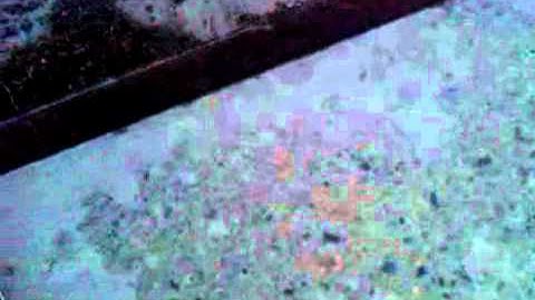 Me nollie this loading dock. (funny)