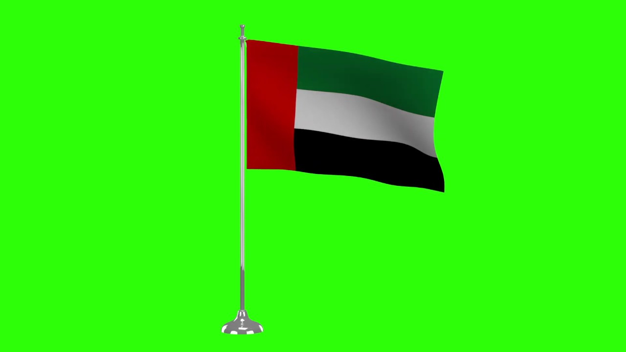 Чей флаг черный желтый белый. Черный флаг. Черно зеленый флаг чей. Черно зеленый флаг чей. Чёрно-зелёный флаг.