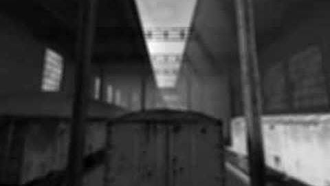 Glimpse of Reality Css Trailer