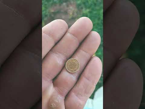 1851 $1 Gold Coin