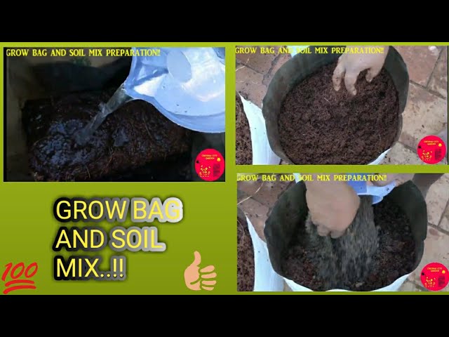 Buy lightweight HDPE round green grow bags online  4 sizes