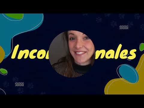 INCONDICIONALES 5 AGOSTO
