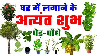 घर में लगाने के अत्यंत शुभ पेड़-पौधे | Vastu Plants for Home in Hindi screenshot 2