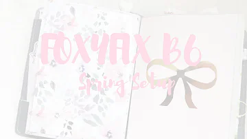 FoxyFix B6 Spring Setup!