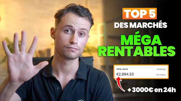 DROPSHIPPING: Les 5 marchés les plus rentables à ne pas manquer!