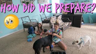 PREPARING OUR HOME FOR HURRICANE IRMA! WHAT DO WE DO? DAY 2
