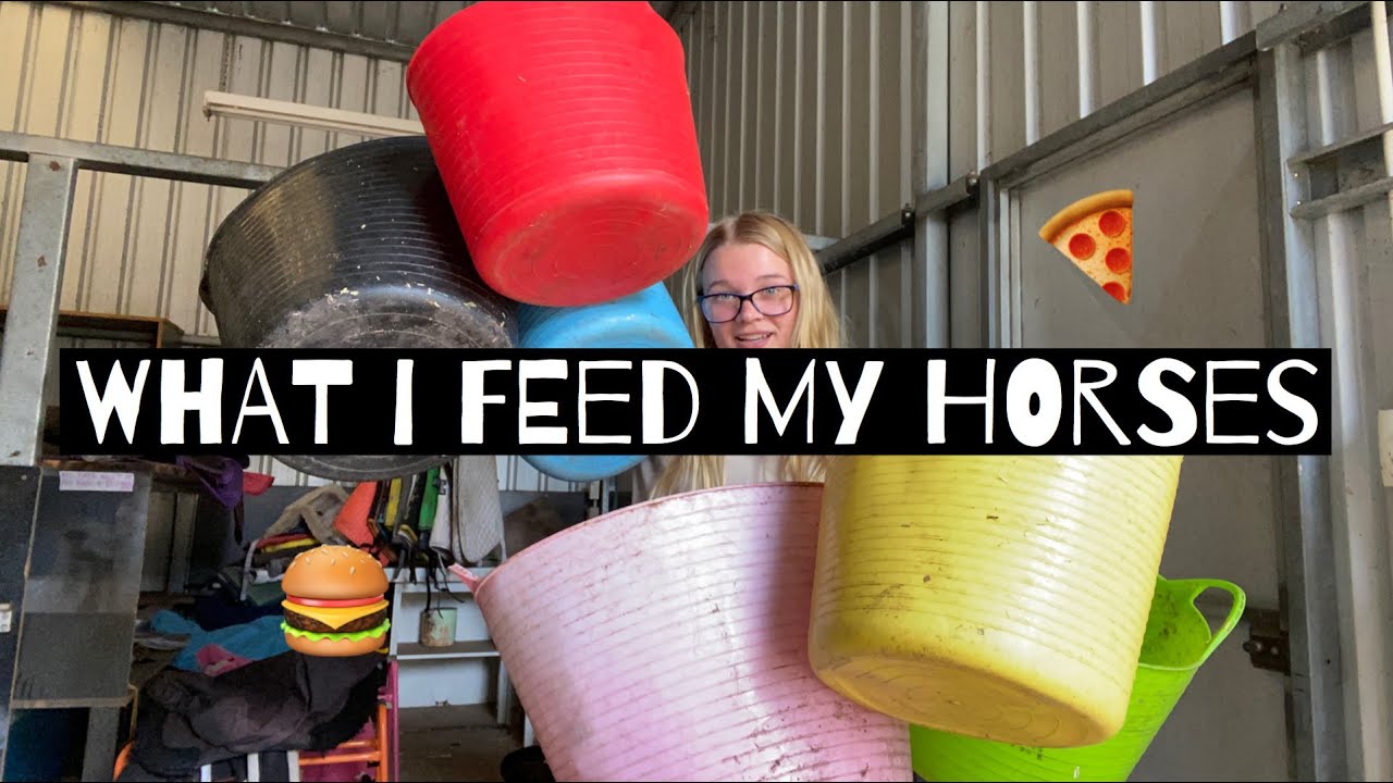 WHAT I FEED MY HORSES AND WHY - FEED WITH ME! - YouTube