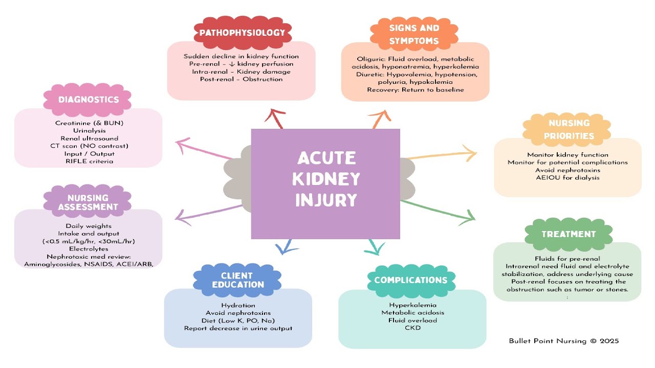 AKI Acute Kidney Injury (Medsurg/Adult health) ADN/BSN concept map ...