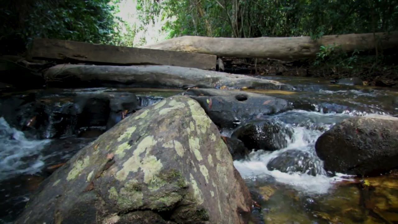 Let Go of Stress 🌊 Water Sounds Blended with Gentle Piano Music