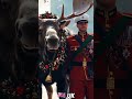 Merry Christmas 🎄 Watch This Before the Day Ends...