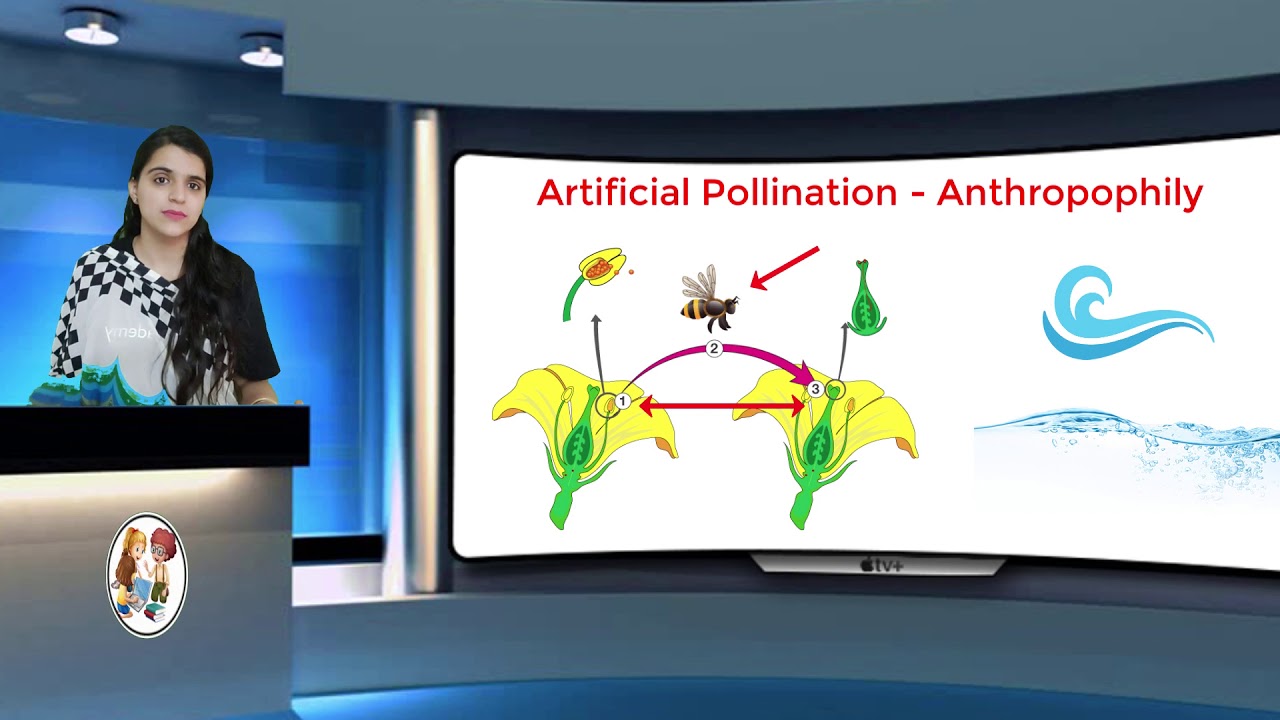 What is Cross Pollination (Biology - 12 Class) - YouTube