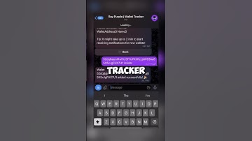 track insider wallets to make millions trading meme coins on solana