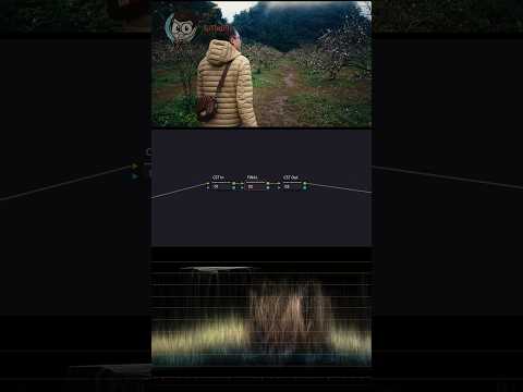 Slog3 Color Grading Davinci Resolve