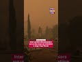 🚒 Incendies : les pompiers combattent un feu dans un cimetière à Lège-Cap-Ferret (Gironde)｜TF1 INFO