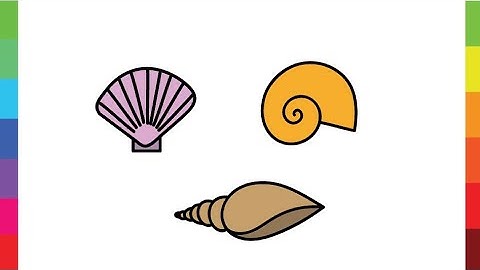 How to Draw SEA SHELLS - Easy Drawing videos for beginners using simple shapes