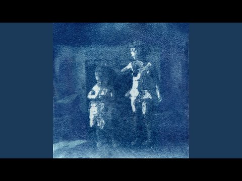 Roadkill - Searows