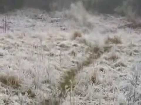 Exploding Tin flies 40ft into the air! - E-Unit