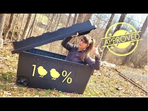 Chick-Approved: The Ultimate Brooder Build Guide - YouTube