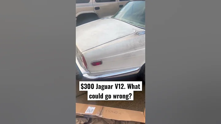 ￼Jaguar - simple electronics and reliable V12 engines. #jaguar #jaguarv12 #v12 #carrestoration