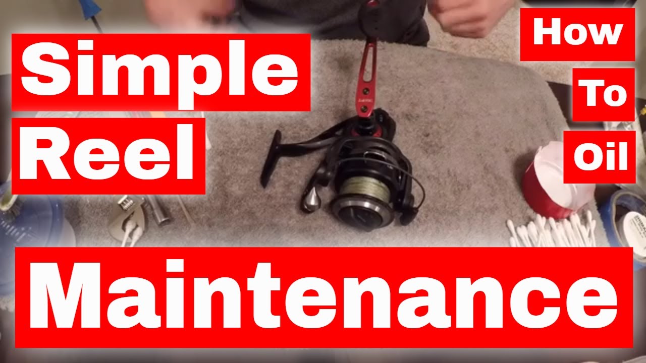 How to Oil a Spinning Reel Simple Reel Maintenance, Reel Cleaning and ...