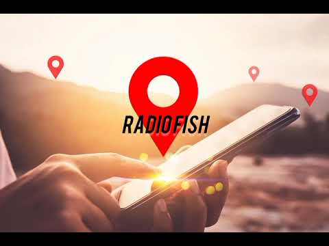 RADIO FISH-chapter start29