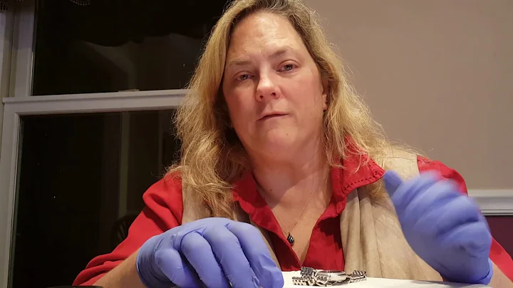 Urinalysis and pregnancy testing video