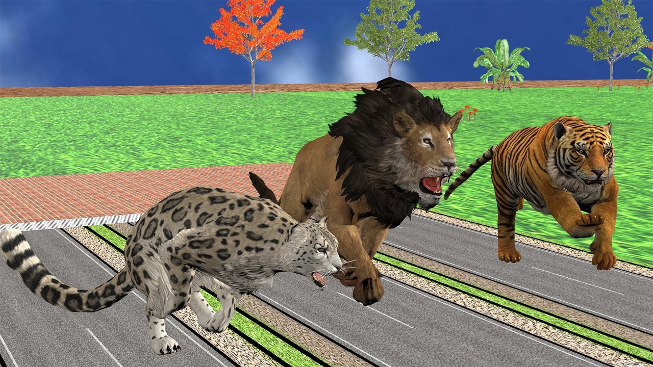 Ultimate Jungle Race: Lion, Tiger, and Leopard in a Speed Battle!