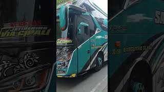 Download Lagu Brazil 05 dengan nada ku takut mamahku marah 🤩🤩🤩🤩 #basuri #busmania #trending #buspariwisata #viral MP3