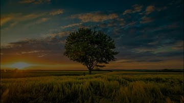 سورة الفاتحة بصوت يريح القلب 💖 | تلاوة مؤثرة من مشاري راشد العفاسي