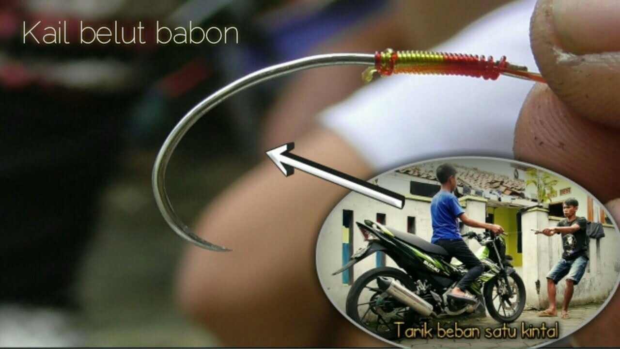 Cara bikin kail belut spesialis babon | bahan stenles kuat & anti karat