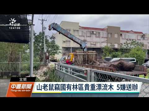 宜蘭5山老鼠竊貴重漂流木 7公噸價值約136萬元｜20230113 公視中晝新聞