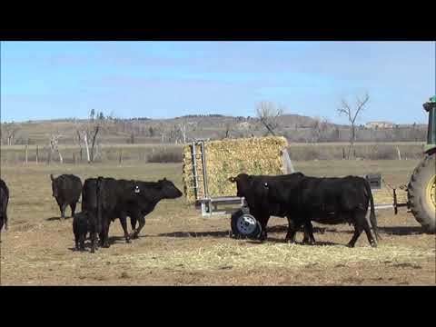 Square Bale Cattle Feeder Precision Hay Feeders