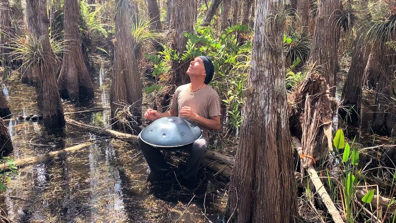 Everglades Serenade