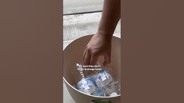 Why You Should Fill Flower Pots With Empty Water Bottles