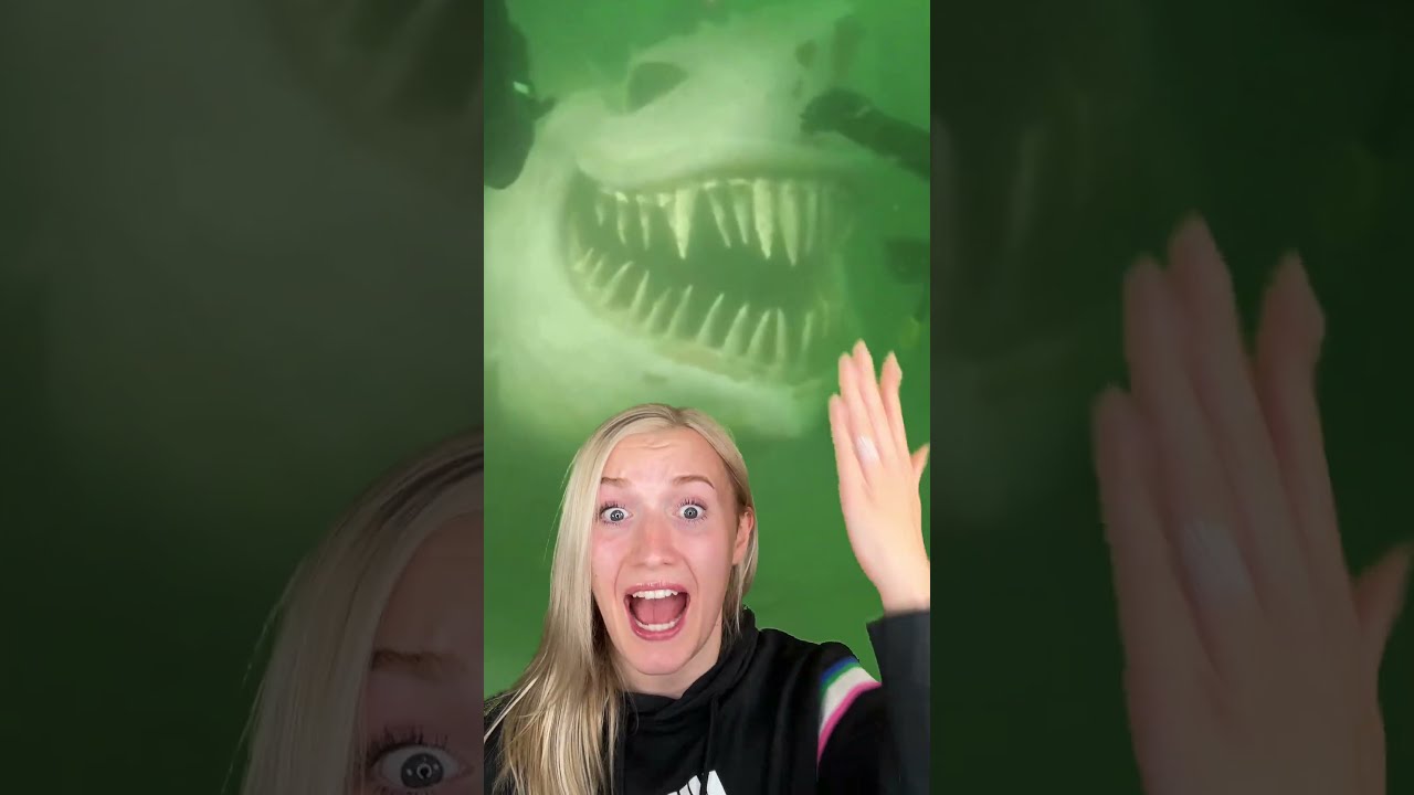 The CREEPIEST Things Found UNDERWATER 