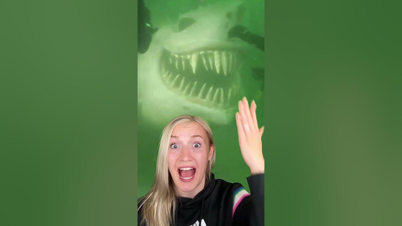 The CREEPIEST Things Found UNDERWATER...😰