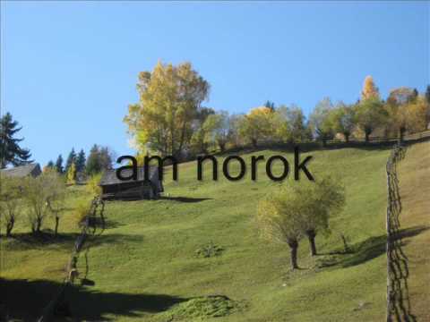 Sus in deal e o casa!!.wmv