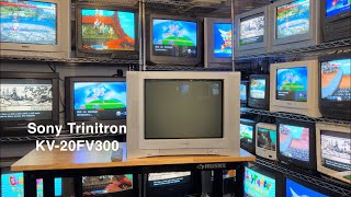Sony Trinitron KV-20FV300 Holy Grail 20 inch S-Video Component CRT TV Retro Gaming Calibration ?