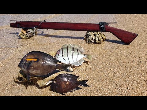 I Built a Primitive Speargun from Scratch - Primitive Fishing Catch & Cook  Challenge! 