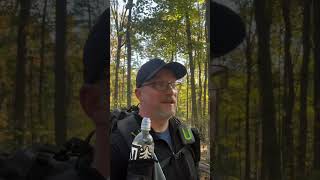 Hurricane damage at Charles Deam Wilderness area. #backpacking #camping #nature #hurricane