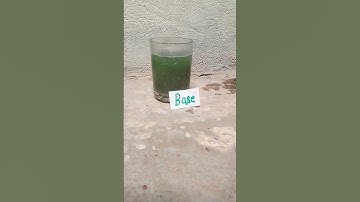 China rose 🌺 acid base indicator 😱 #class10 #experiment #shorts #viral #trending #indicator #boards