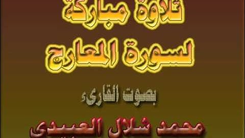 تلاوة مباركة لسورة المعارج بصوت القارئ محمد شلال العبيدي.