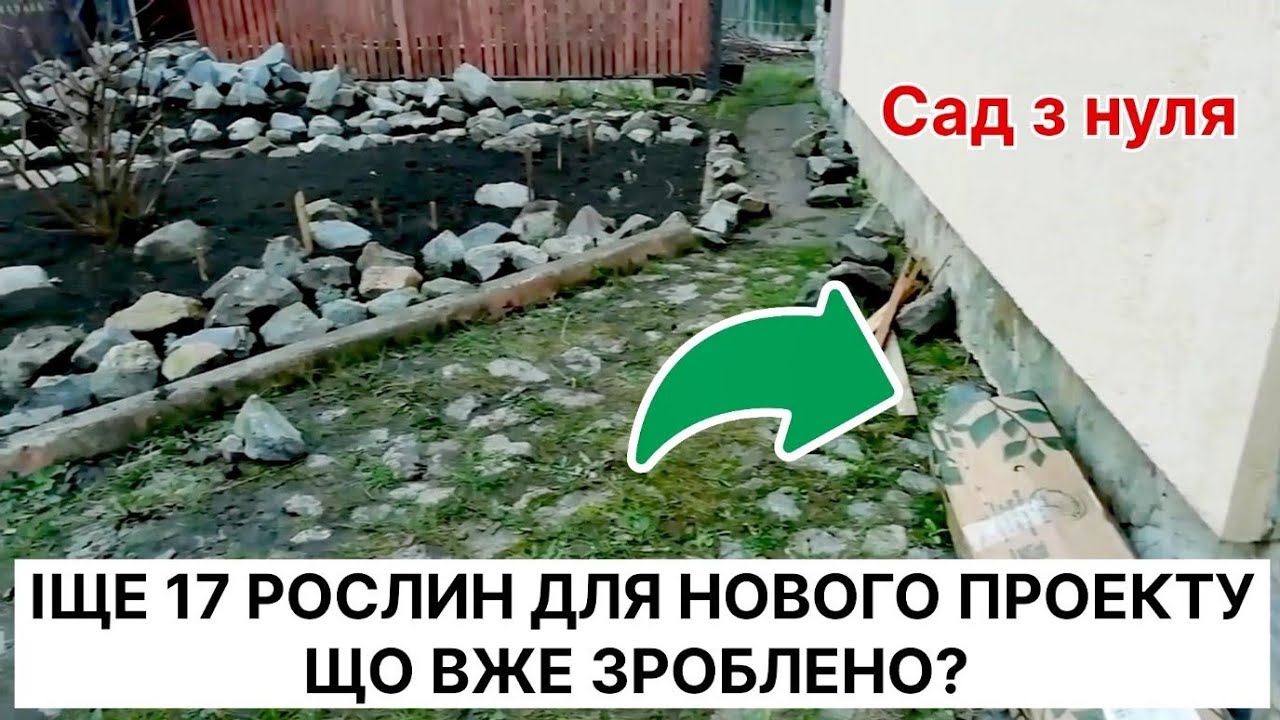 Розпаковка від Бережнюків 🌸 Як іде процес створення саду?