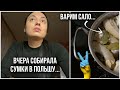 Украина, Киев. Мы держимся! Вчера морально было сложно...