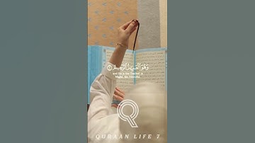 وعد الله لا يخلف الله وعده ولكن أكثر الناس لا يعلمون - سورة الروم✨❤️#quran #islamic_video #fyp #راحة