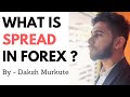 What is a Spread  What are Pips in forex trading for Beginner