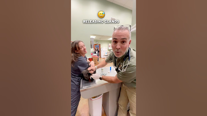 😅 Watch This Before Becoming A Veterinarian…