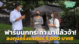 เกษตรสิบทิศ EP13: ฟาร์มนกกระทา ทดลองเลี้ยงนกกระทาแค่ 200 ตัว, รวย!!