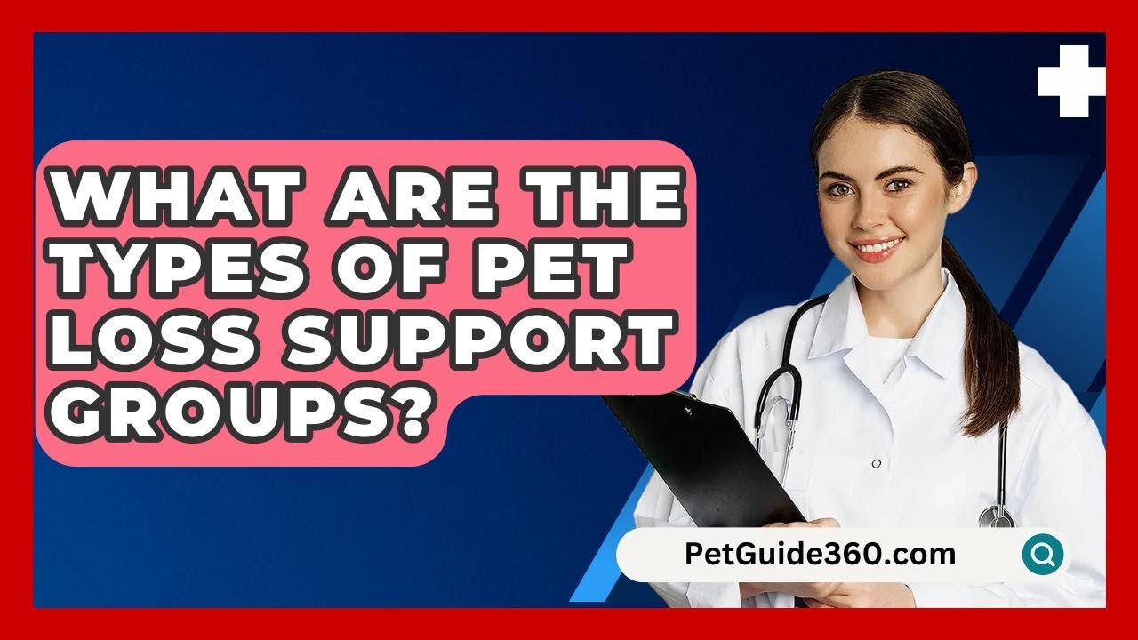 What Are The Types Of Pet Loss Support Groups? - PetGuide360.com